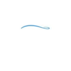 Stadium Support Services Logo